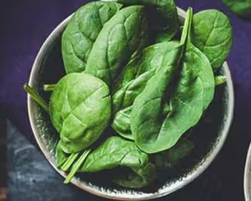 Chickpea & Spinach Curry